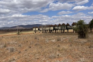 salt-lick-safari-lodge-een-luxe-accommodatie-in-tsavo-west